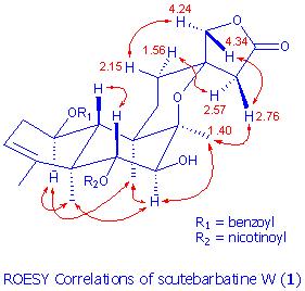 ROESY Correlations of scutebarbatine W